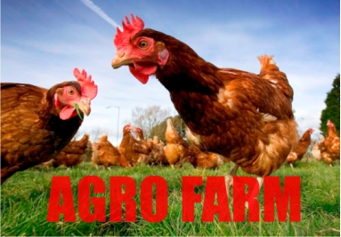 agro farm